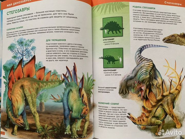 Энциклопедии Моя большая книга и Начальной школы