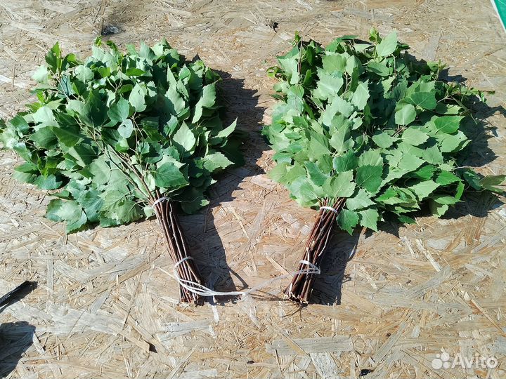 Дубовые и березовые веники для бани