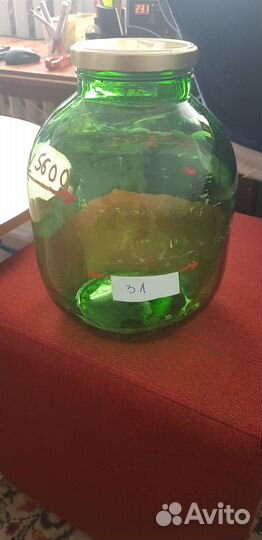 7.5 литровая банка