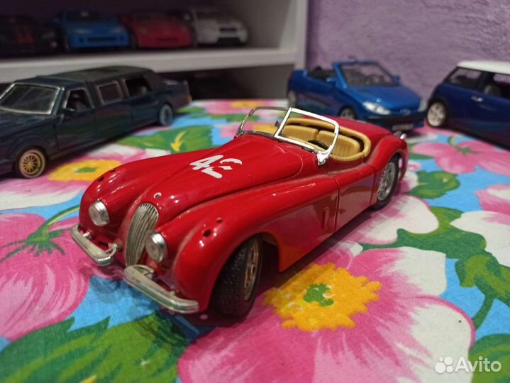 Модель 1.24 jaguar
