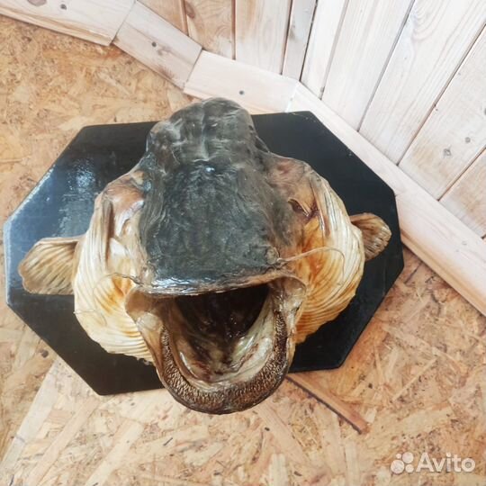 Чучело рыбы