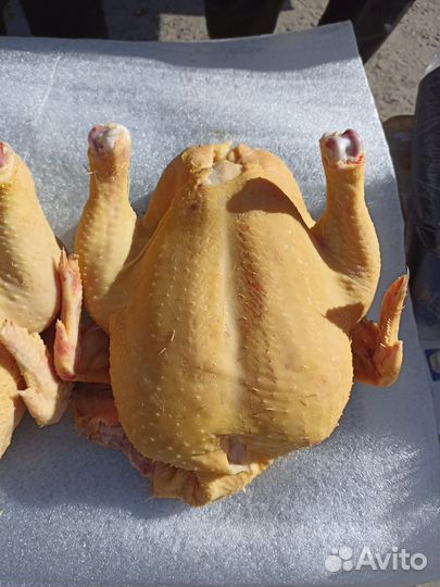 Куры бройлеры тушки мясо