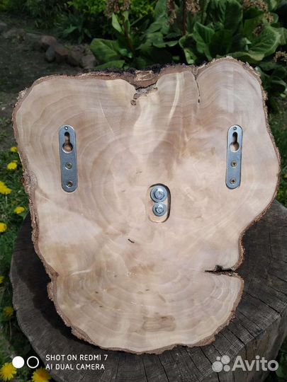 Рог лося на медальоне