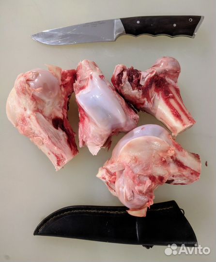 Мясо и кости для собак опт и розница