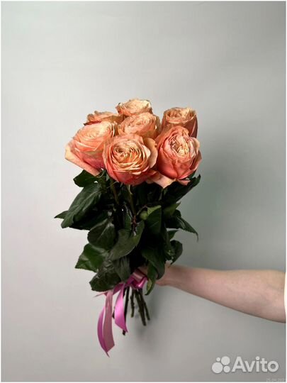 Пионовидные розы. Цветы