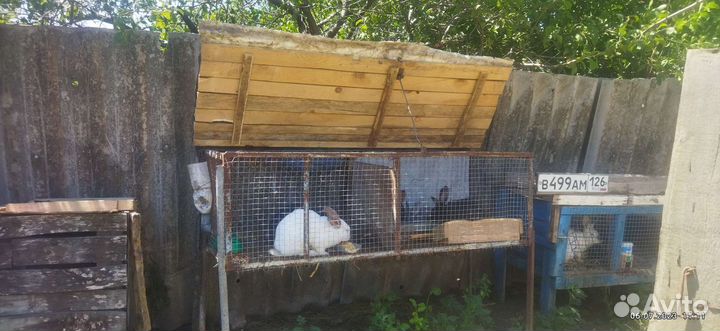 Клетка для кролика