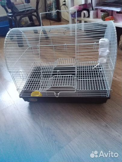 Клетка для крыс бу