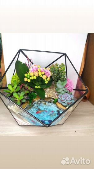 Флорариумы