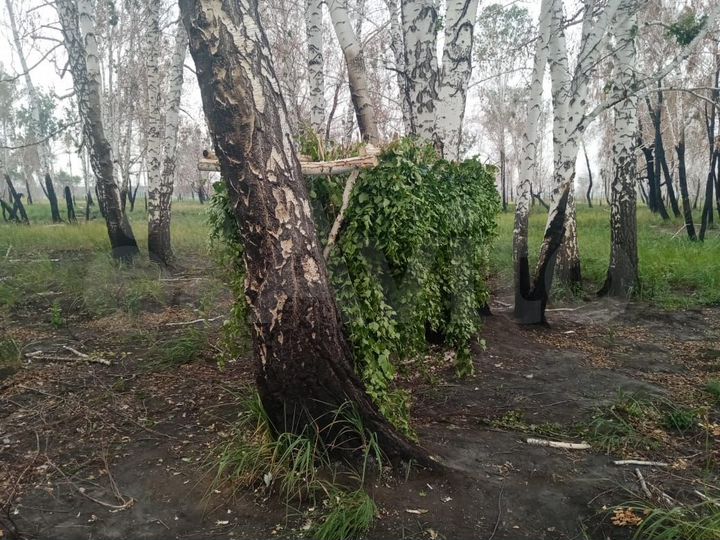 Участок 5 га (СНТ, ДНП)