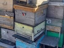 Продам пчелосемьи с ульем