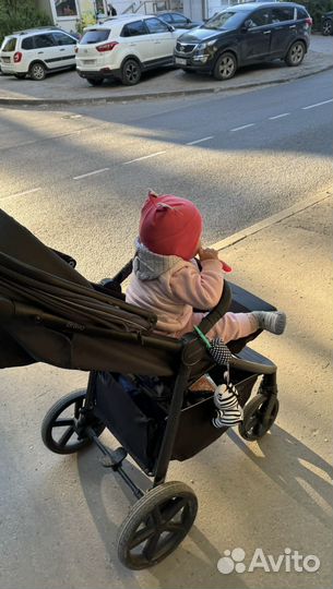 Коляска carello bravo plus 2023