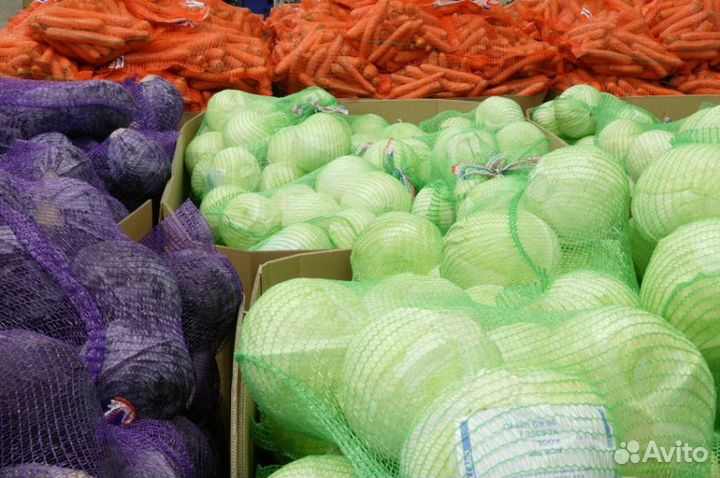Картофель, Морковь, Капуста, Свекла, Лук