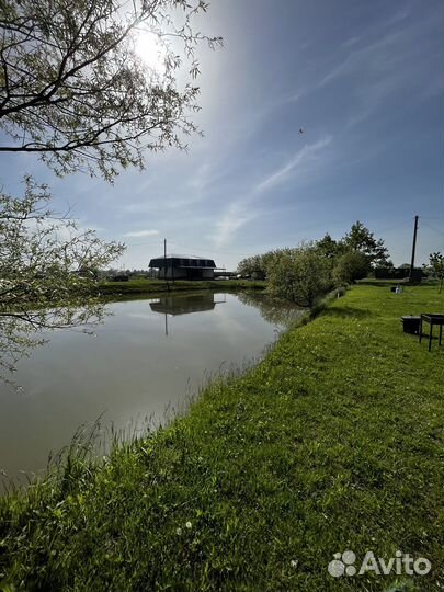 Аренда беседки с мангалом и бассейном