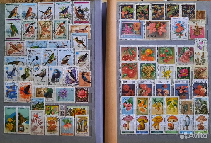 Альбом с марками флора +фауна