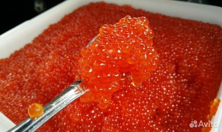 Оптом свежая красная икра кеты