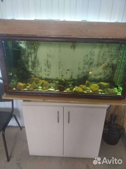 Аквариум 250 литров