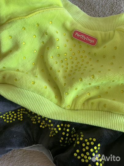 Костюм для собак