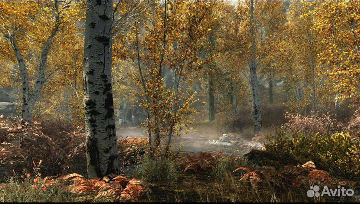 Skyrim PS4/PS5 На Русском