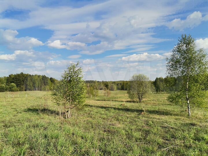 Участок 2 га (СНТ, ДНП)