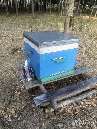 Улей для пчел