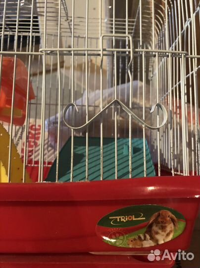 Клетка для грызунов