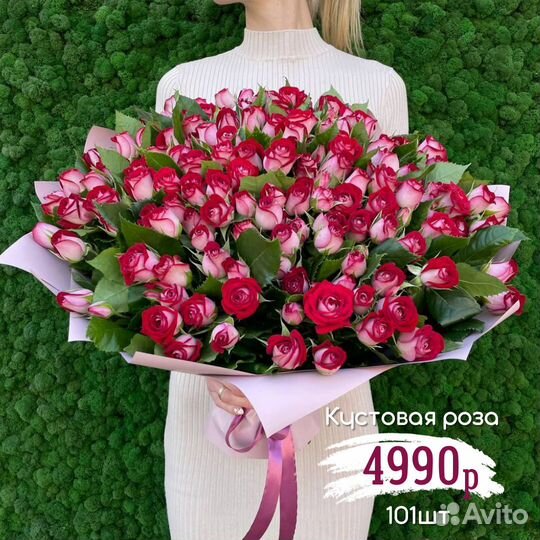 21/51/101 60см роза Люксор. Доставка 24часа