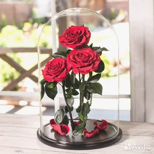 Роза в колбе