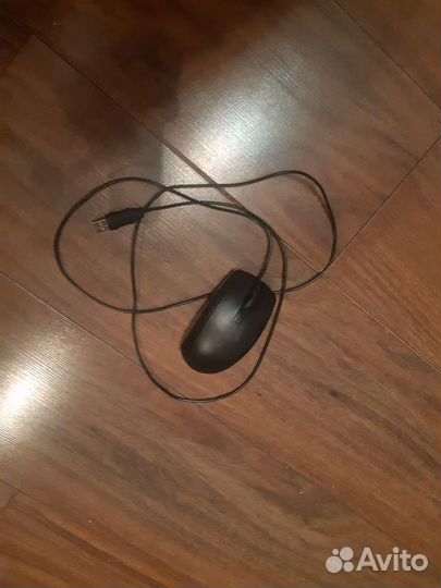 Мышь компьютерная