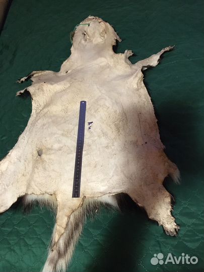 Шкура - коврик