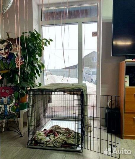 Клетка для собак