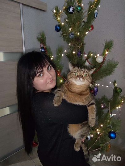 Репетитор по английскому языку