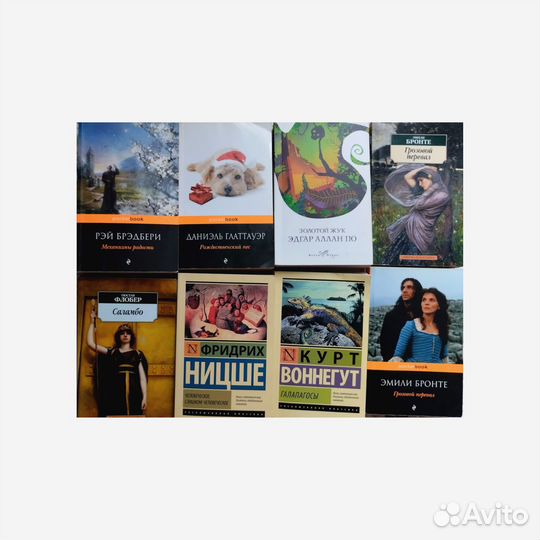 Книги Эмили Бронте, Бредбери