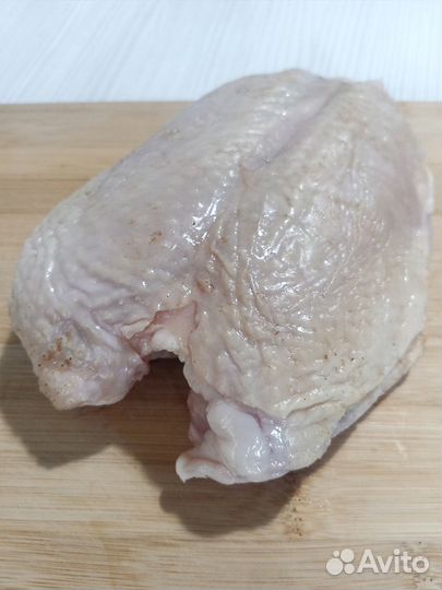 Домашние куры-бройлеры