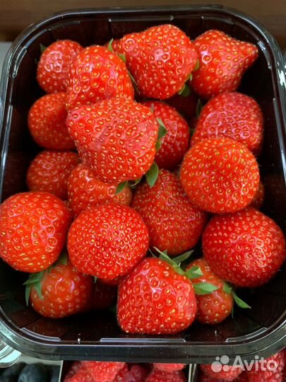 Клубника с Доставкой на дом/офис