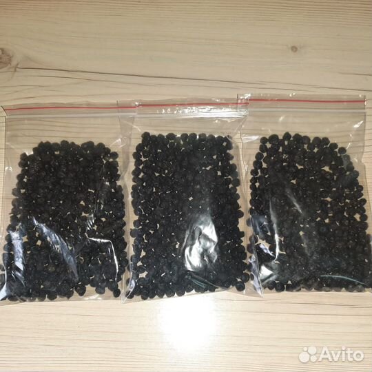Амурский бархат ягоды