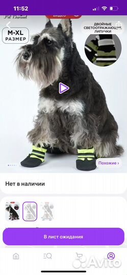 Обувь для собак средних пород, новые