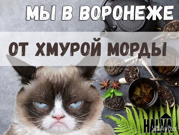 Китайский чай для бодрости