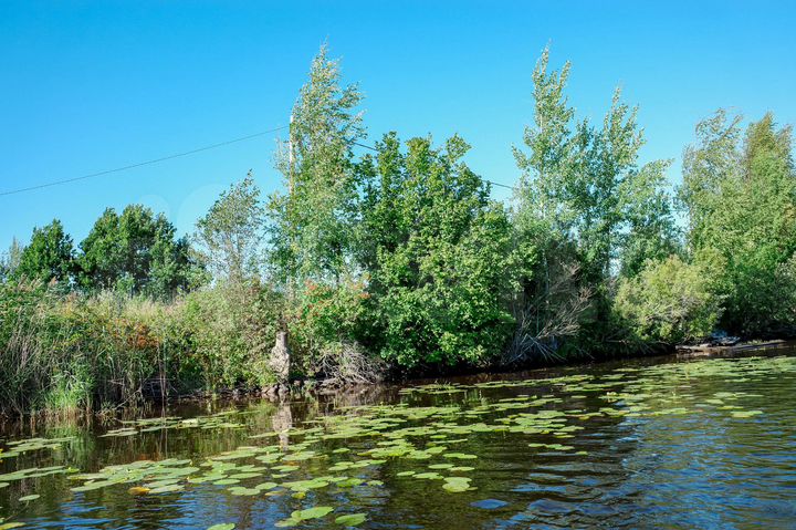 Участок 22,5 сот. (ИЖС)