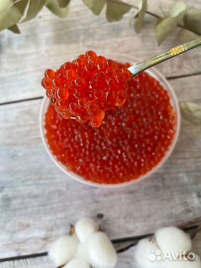Красная икра 2024г (опт и розница)