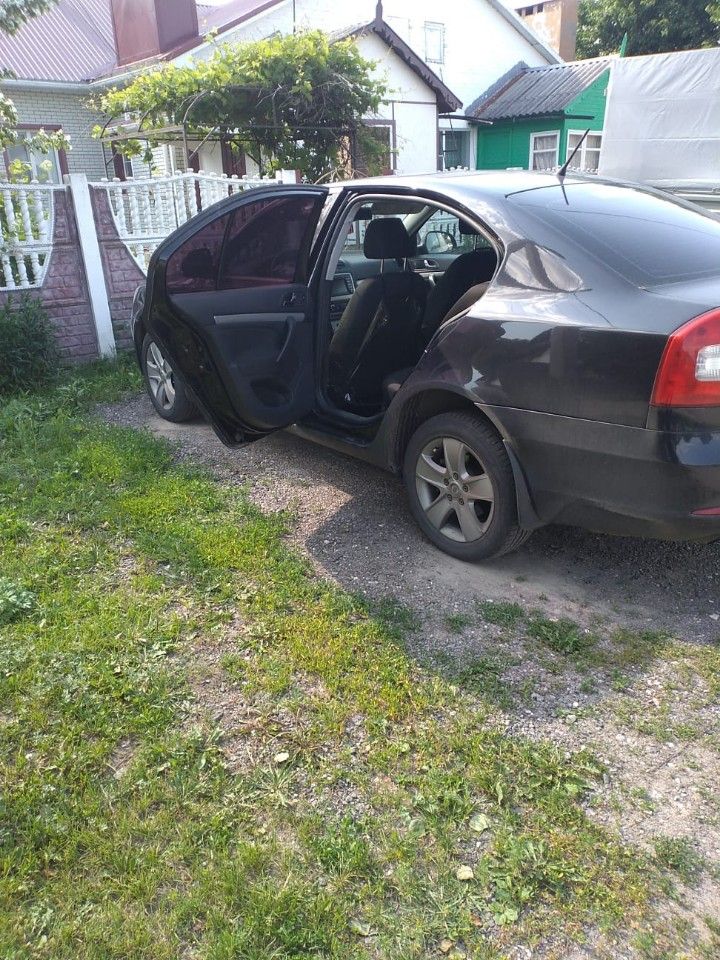 Skoda Octavia: фото владельца