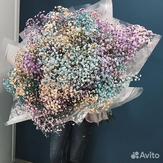 Цветная Гипсофила в Букетах. Доставка/Самовывоз