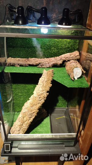 Террариум для рептилий