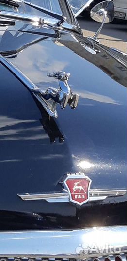 Олень на авто Волгу 21