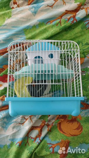 Клетка для хомяка бу