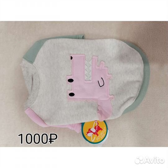 Одежда для собак