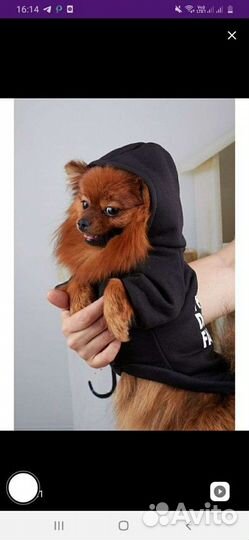 Толстовка для собак 3 размера новая