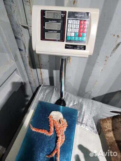 Камчатский краб размер S