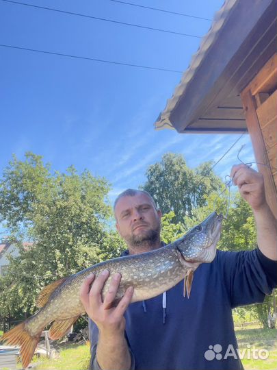 Возьму на джиговую рыбалку на лодке