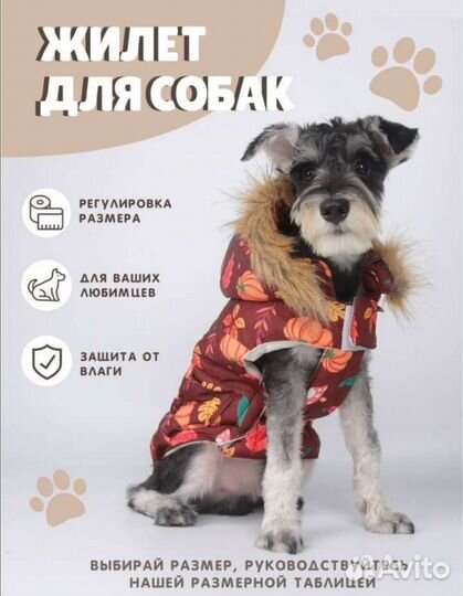 Одежда и товары для животных. Новые