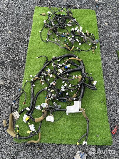 Проводка салона дверей Infiniti qx56 qx80 62